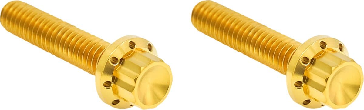 Transmission Side Cover Titanium 12-Point Bolt Cover