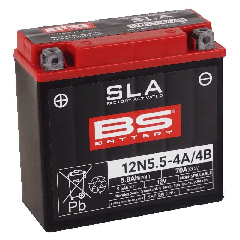 Maintenance-Free Battery