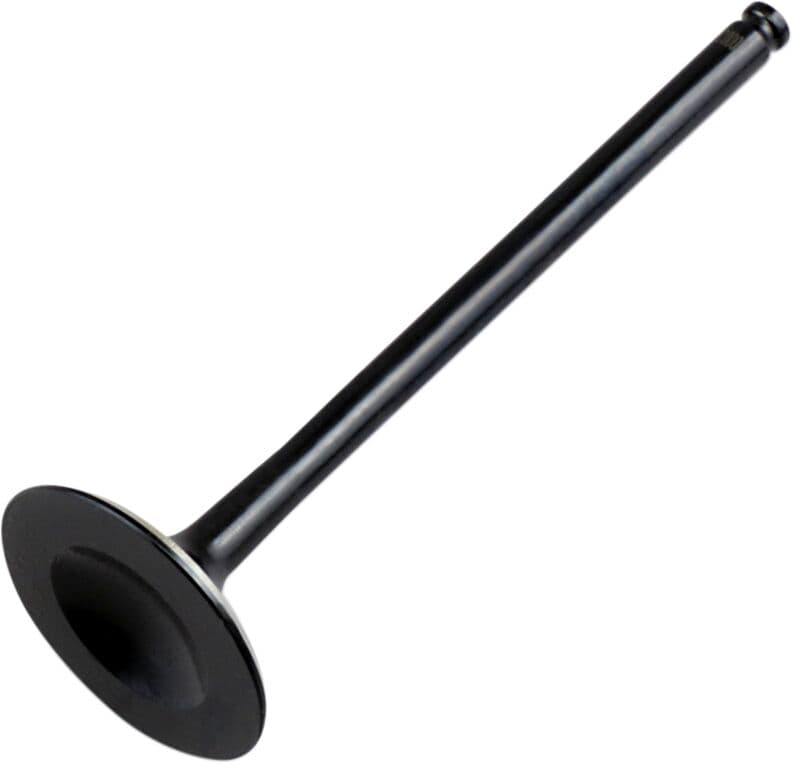 Replacement Valve