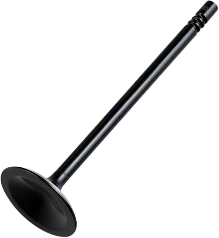 Replacement Valve