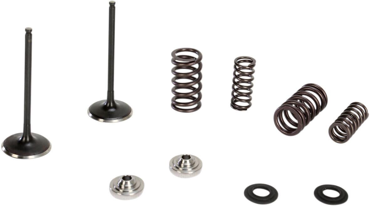 Intake Stainless Conversion Valve and Spring Kit