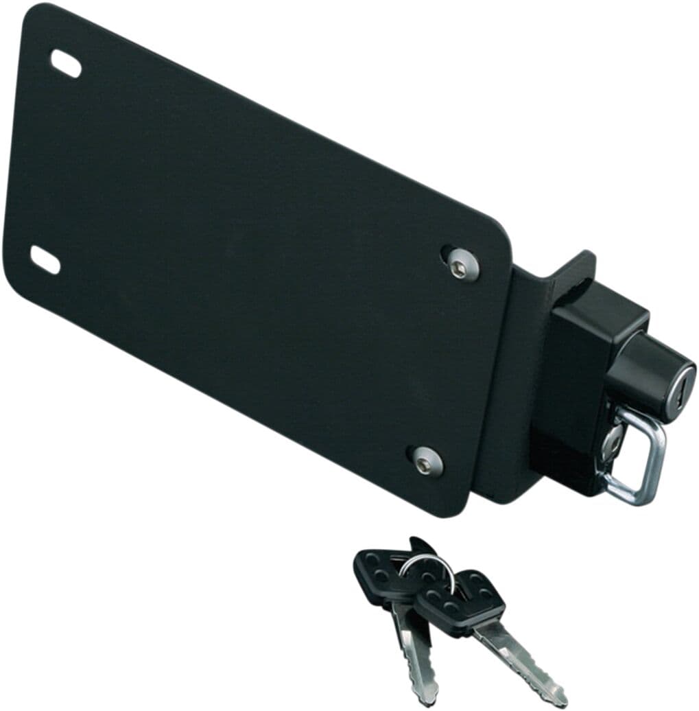 License Plate Mount with Helmet Lock