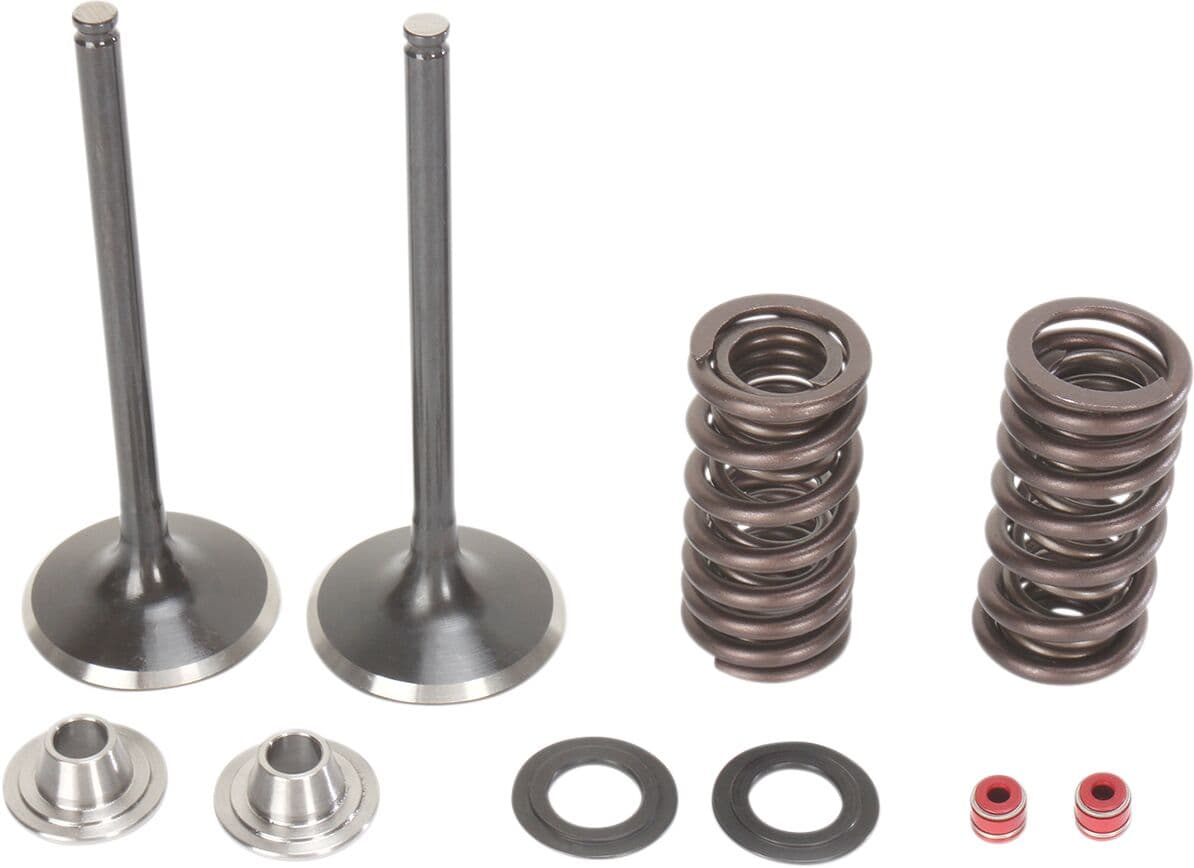Intake Valve and Spring Kit