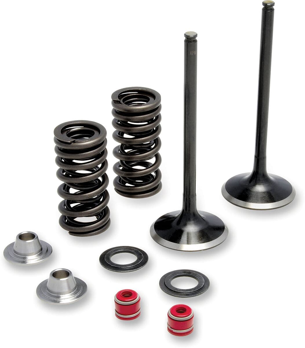 Intake Valve and Spring Kit