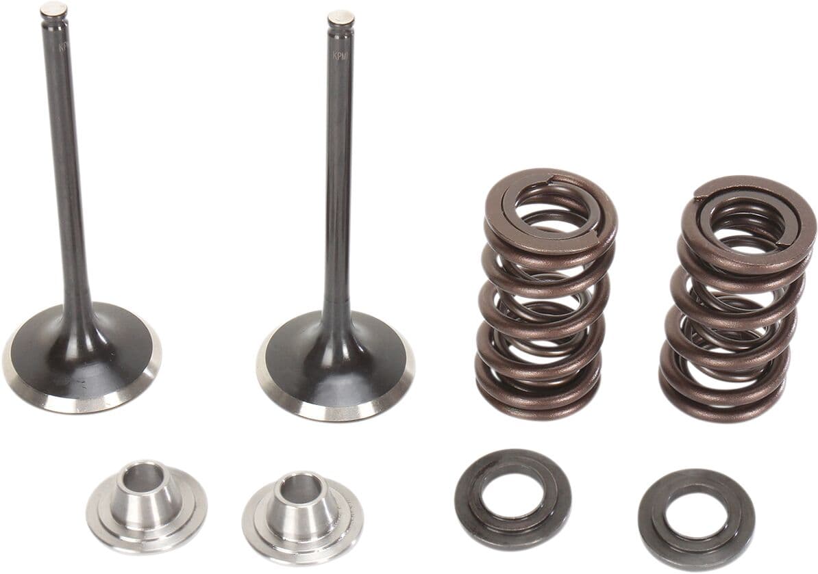 Intake Valve and Spring Kit