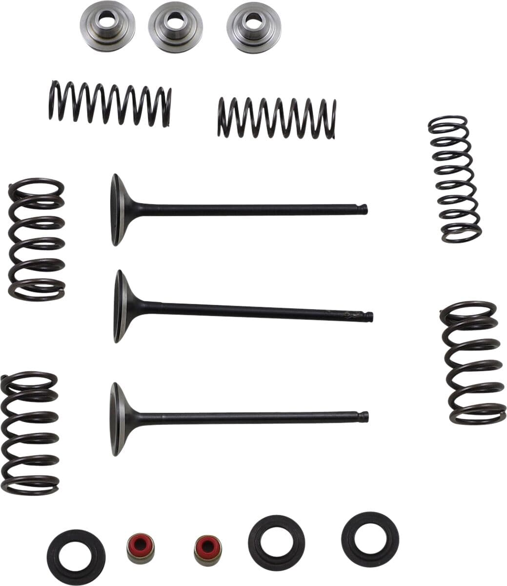 Intake Valve and Spring Kit