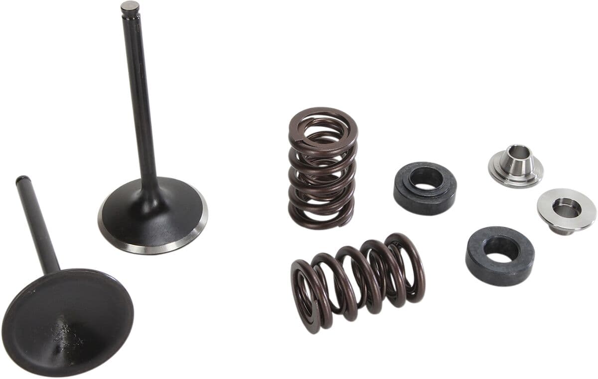 Exhaust Valve and Spring Kit