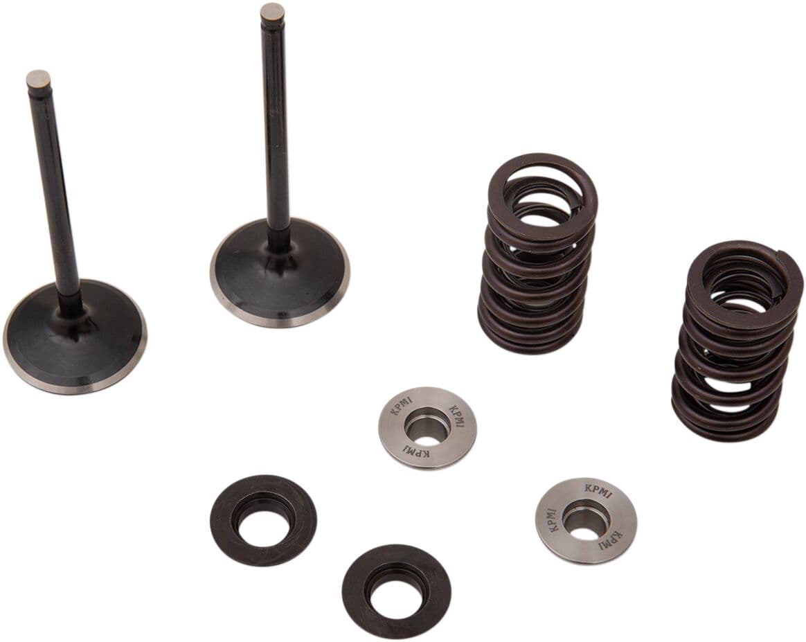 Intake Valve and Spring Kit