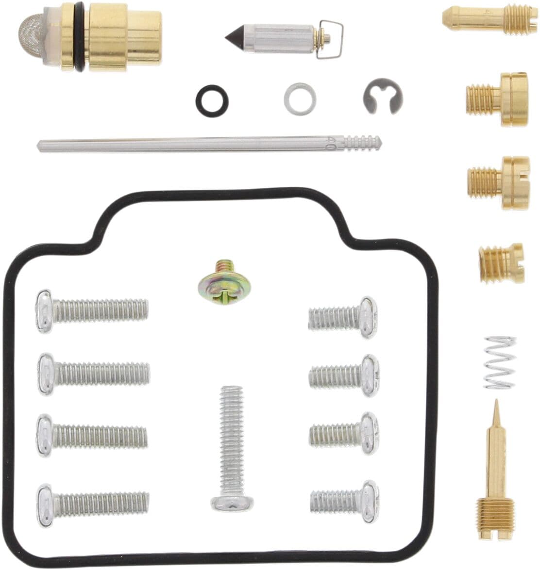 Kit de reparatie carburator - Arctic Cat