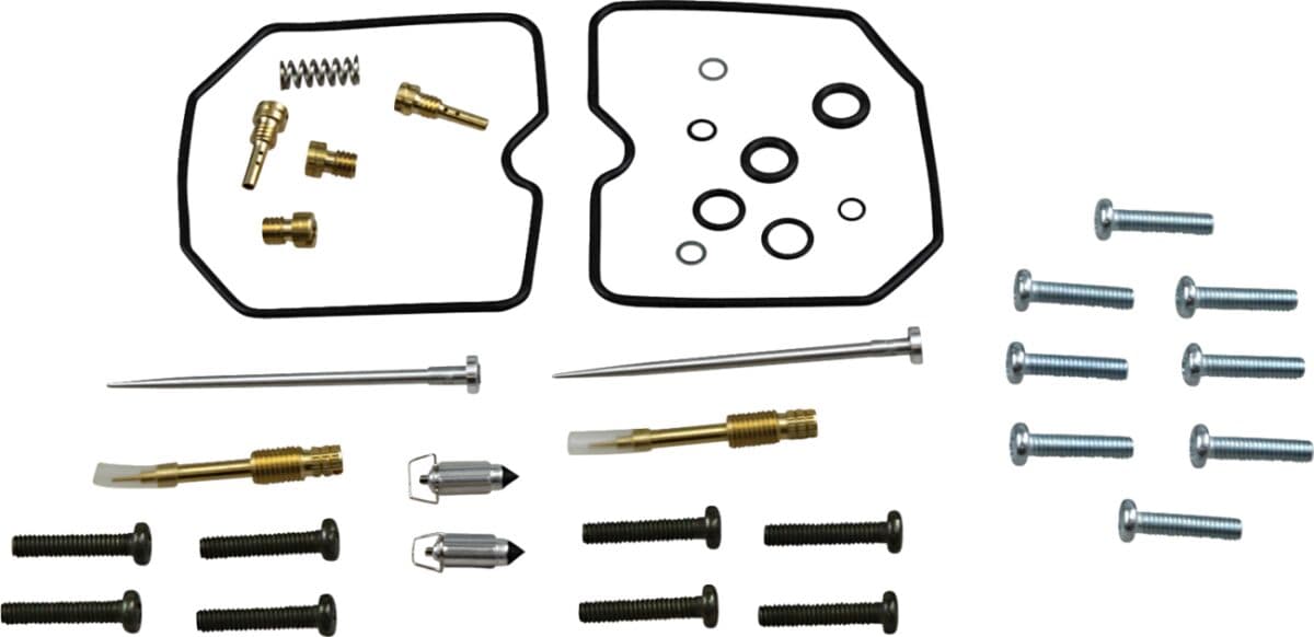 Carburetor Repair Kit