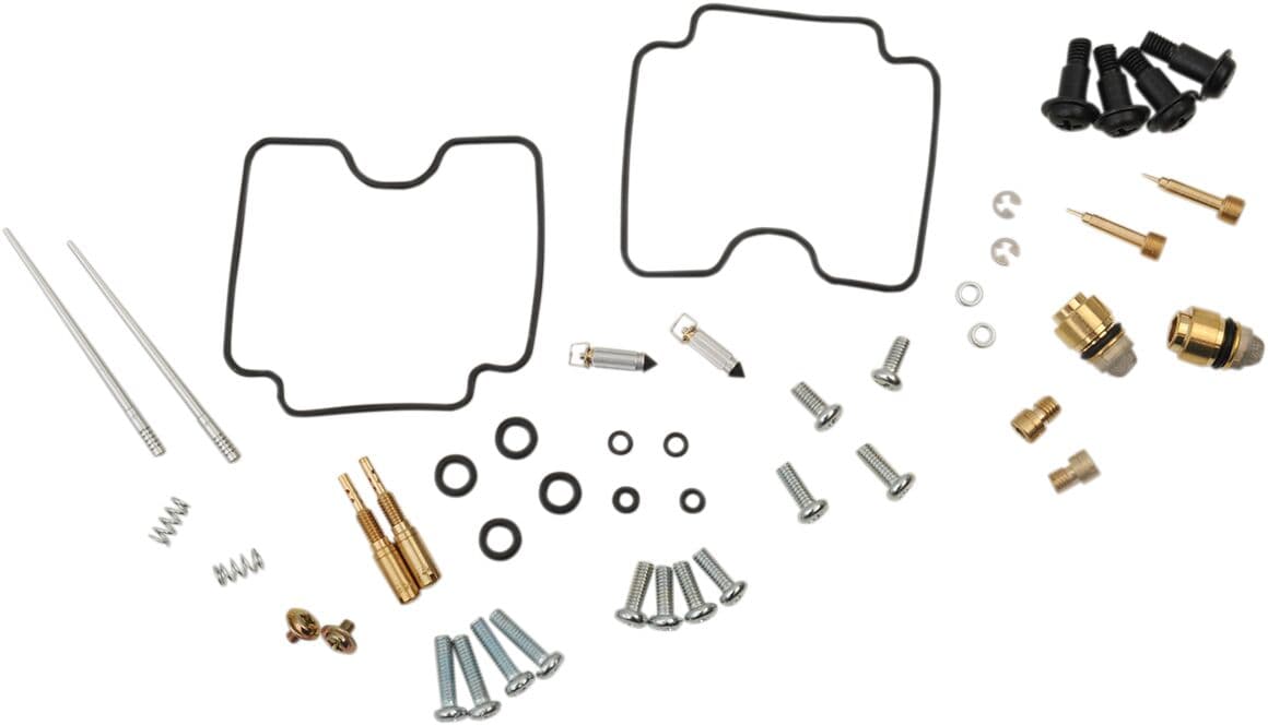 Carburetor Repair Kit